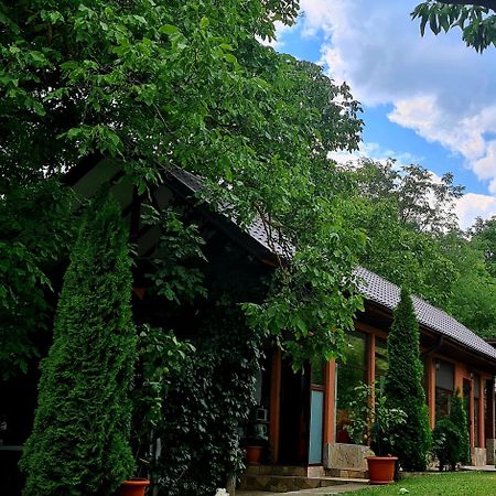 Casa Alex Hotel Sărata-Monteoru Exterior foto