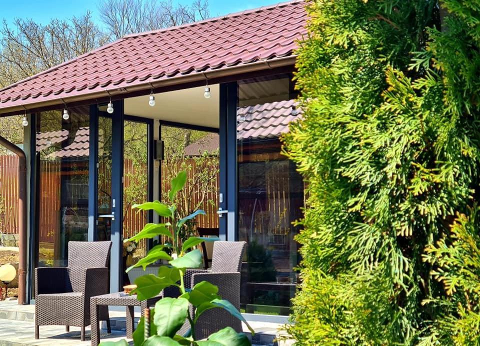Casa Alex Hotel Sărata-Monteoru Exterior foto