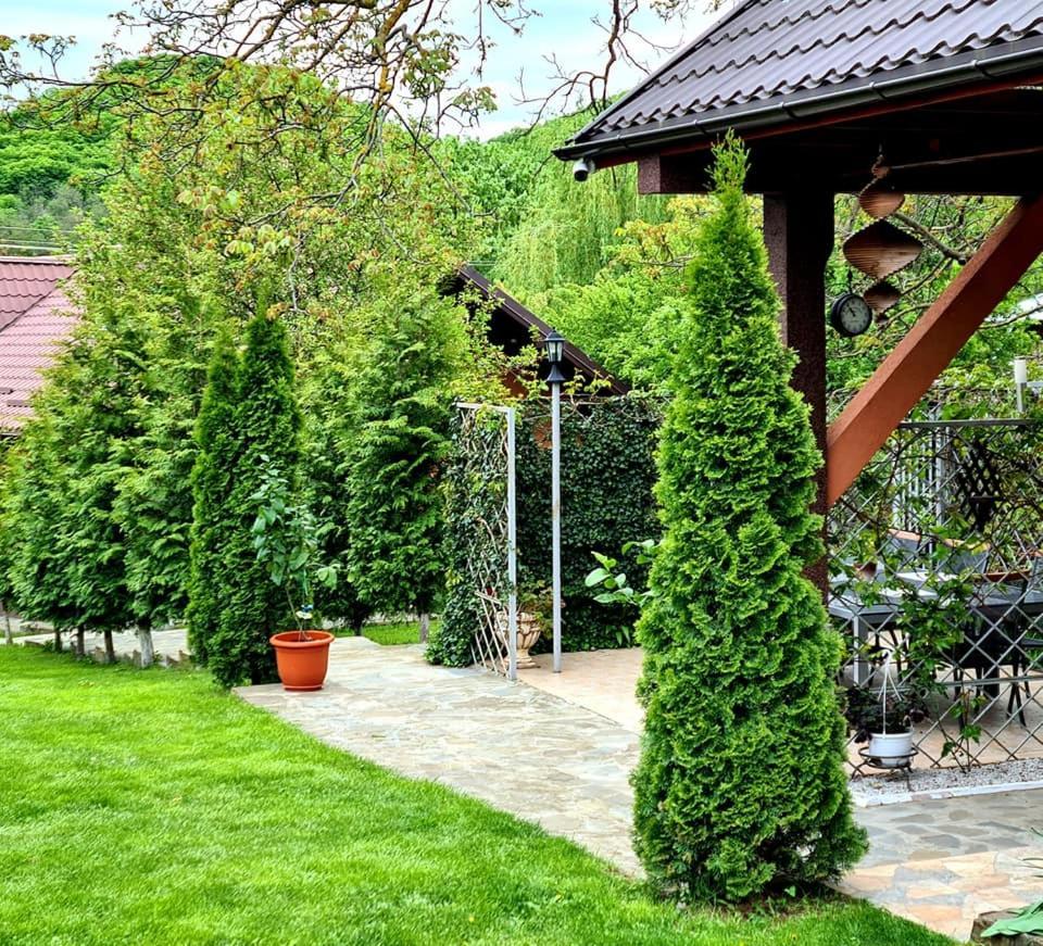 Casa Alex Hotel Sărata-Monteoru Exterior foto