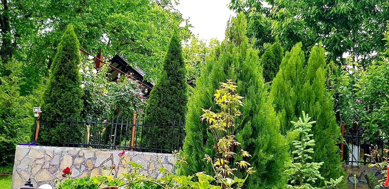 Casa Alex Hotel Sărata-Monteoru Exterior foto