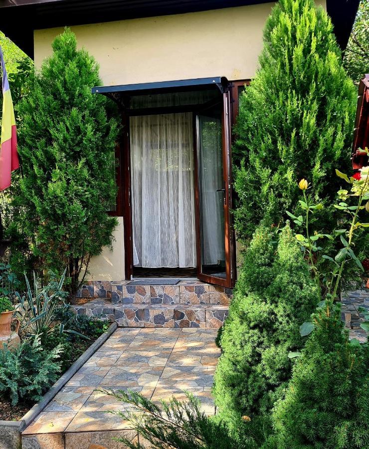 Casa Alex Hotel Sărata-Monteoru Exterior foto