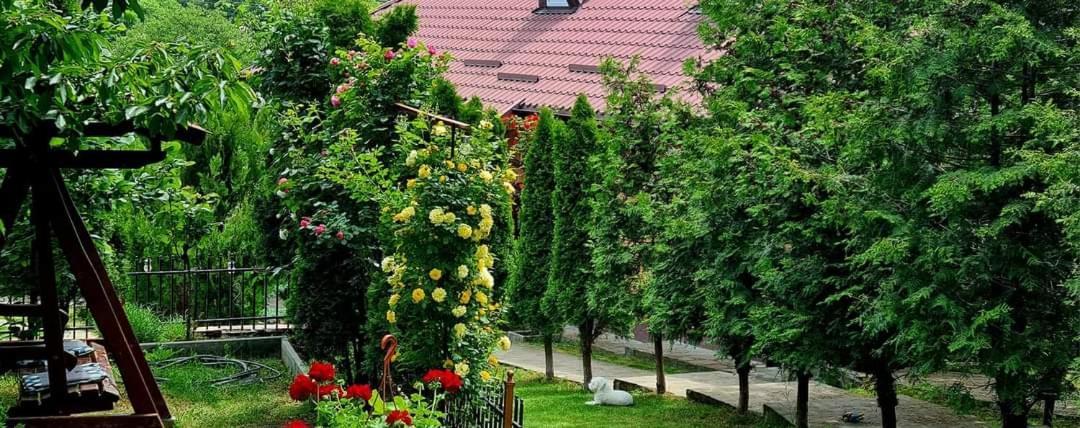 Casa Alex Hotel Sărata-Monteoru Exterior foto