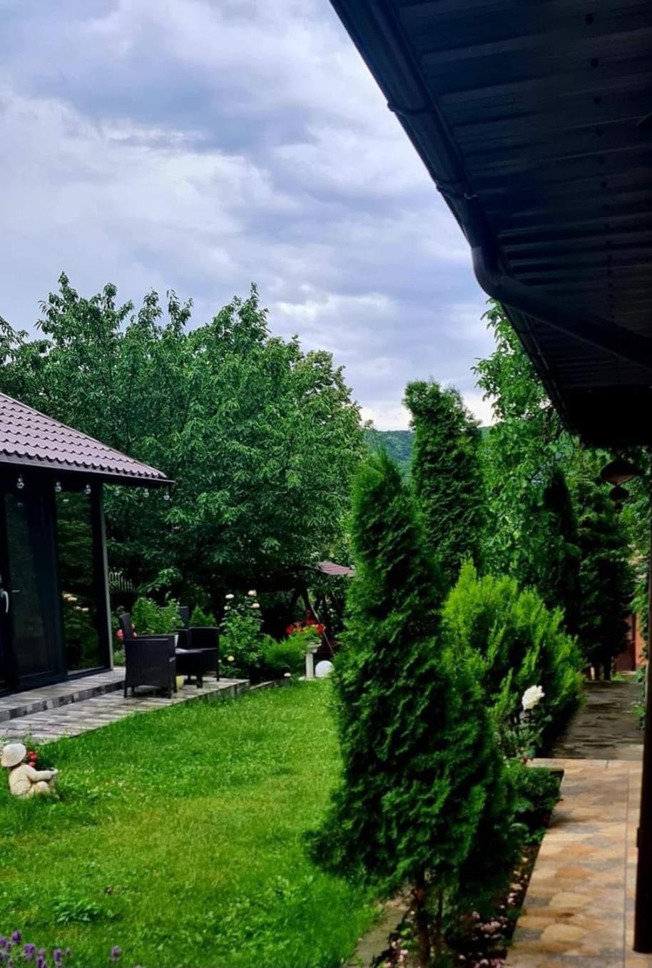 Casa Alex Hotel Sărata-Monteoru Exterior foto